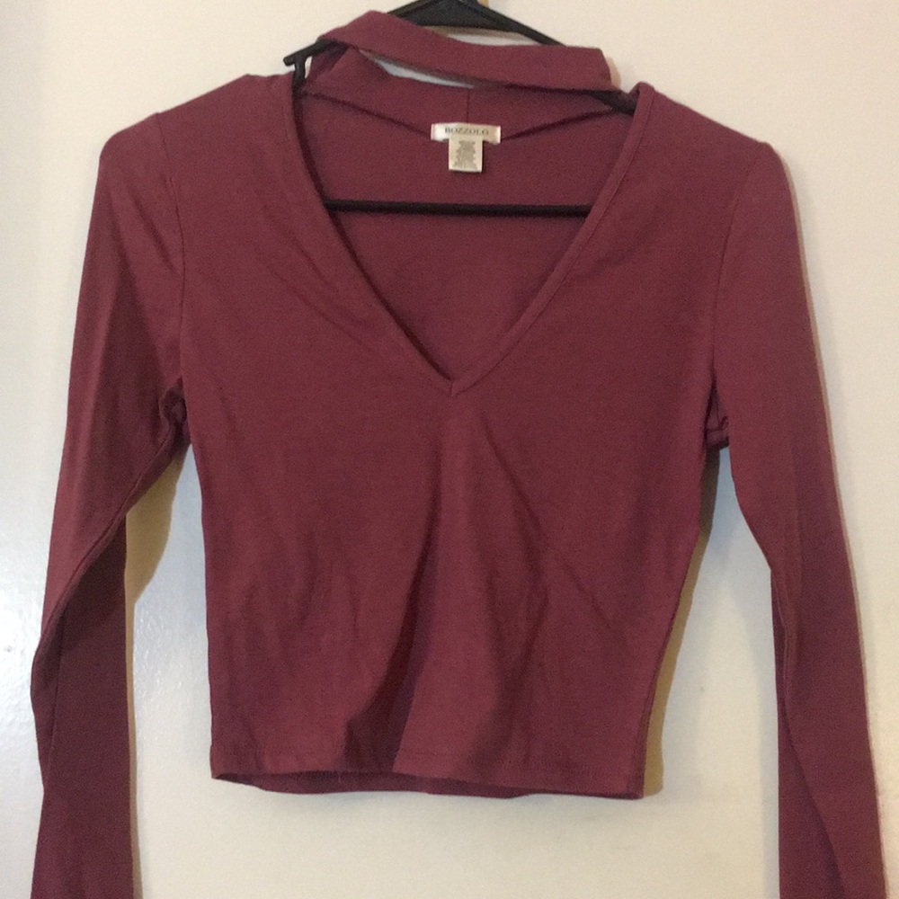 Choker Long Sleeve Crop Top